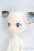 画像2: DOLL ZONE/Mini Kitty/BJD 球体関節人形 I-25-10-26-315-KD-ZI (2)