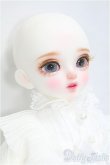 画像4: Dollsn /1/6/Hina Orange ver. /BJD 球体関節人形 I-25-10-26-310-KD-ZI (4)