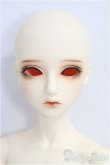 画像1: LitteMonica/1/4/ Bear：ノーマルスキン/BJD　球体関節人形 I-25-10-26-311-KD-ZI (1)
