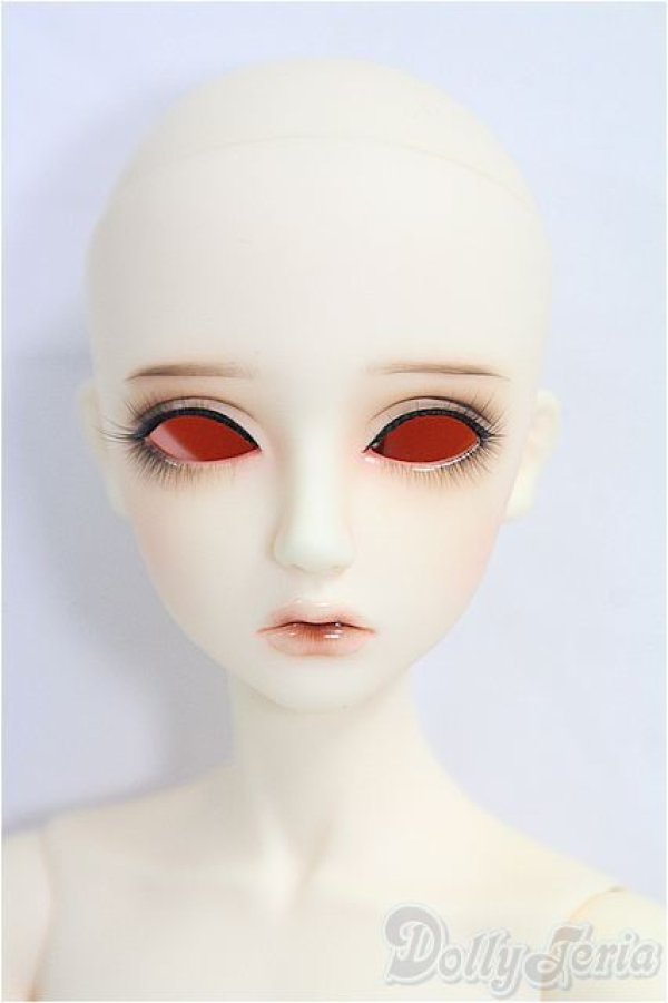 画像1: LitteMonica/1/4/ Bear：ノーマルスキン/BJD　球体関節人形 I-25-10-26-311-KD-ZI (1)
