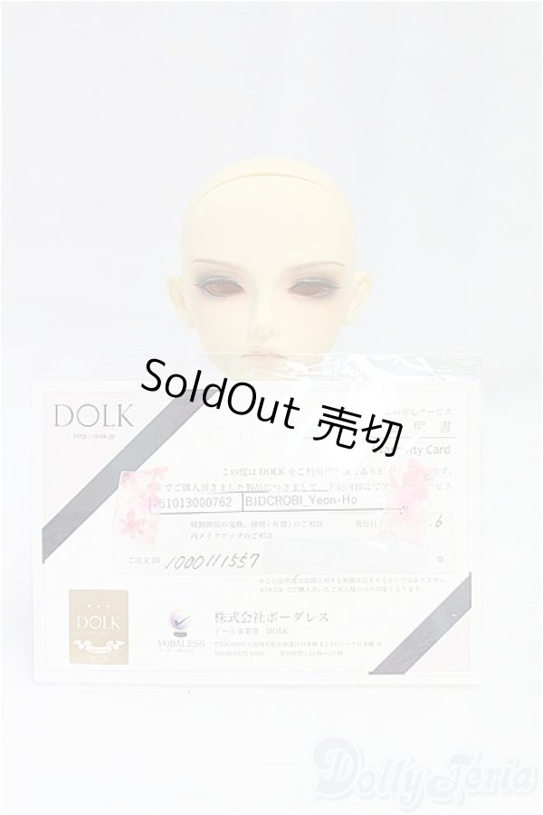 画像5: CROBI/1/3/Yeon-Hoヘッド/BJD　球体関節人形 I-25-11-02-231-KD-ZI (5)