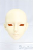 画像1: BJD CROBI/1/3/Ysヘッド（ノーメイク）/BJD　球体関節人形 I-25-11-02-234-KD-ZI (1)