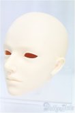 画像2: TelesthesiaDoll/阿敷　ヘッド/BJD　球体関節人形 I-25-11-02-236-KD-ZI (2)
