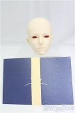 画像5: TelesthesiaDoll/阿敷　ヘッド/BJD　球体関節人形 I-25-11-02-236-KD-ZI (5)