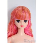 画像: リカちゃんキャッスル/ロベリア /BJD 球体関節人形 I-25-11-02-283-KD-ZI