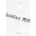 画像: SD&DD/ボディトルソー/0 I-25-11-02-269-KD-ZI