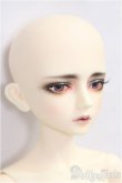 画像4: LITTLE MONICA/1/4/Little Enrill/BJD　球体関節人形 I-25-11-02-308-KD-ZI (4)
