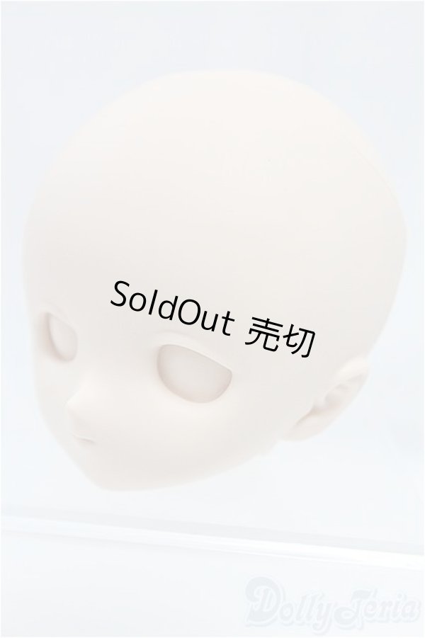 画像2: DD/DDH-01ヘッド I-25-11-09-224-KD-ZI (2)