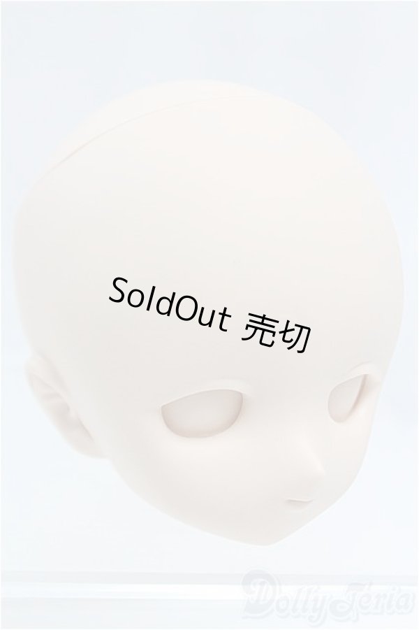 画像3: DD/DDH-01ヘッド I-25-11-09-224-KD-ZI (3)