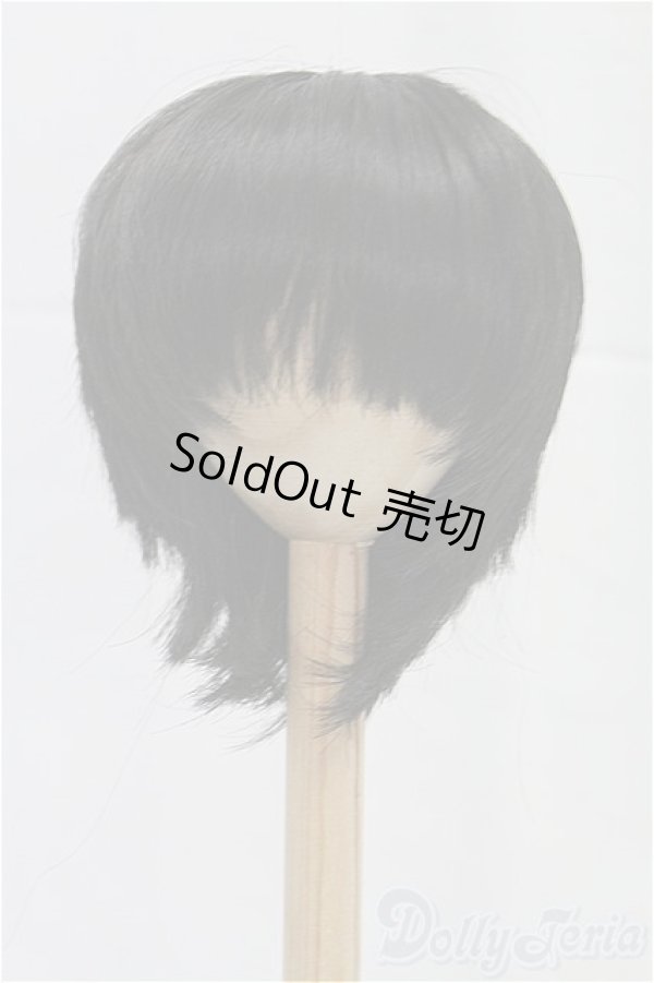 画像1: 8-9inch/ウィッグ I-25-11-09-051-KD-ZI (1)