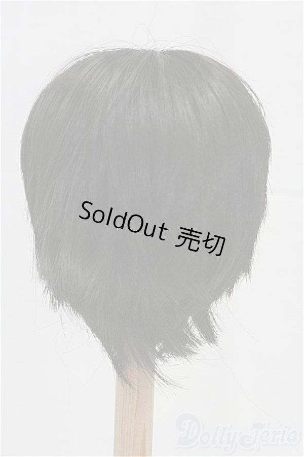 画像2: 8-9inch/ウィッグ I-25-11-09-051-KD-ZI (2)