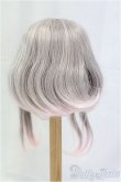 画像2: 9-10inch/ウィッグ I-25-11-09-061-KD-ZI (2)