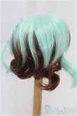 画像2: 9-10inch/ウィッグ I-25-11-09-062-KD-ZI (2)