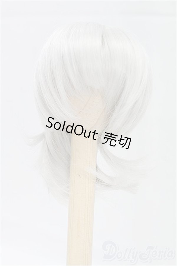 画像1: 6-7inch/ウィッグ I-25-11-09-068-KD-ZI (1)