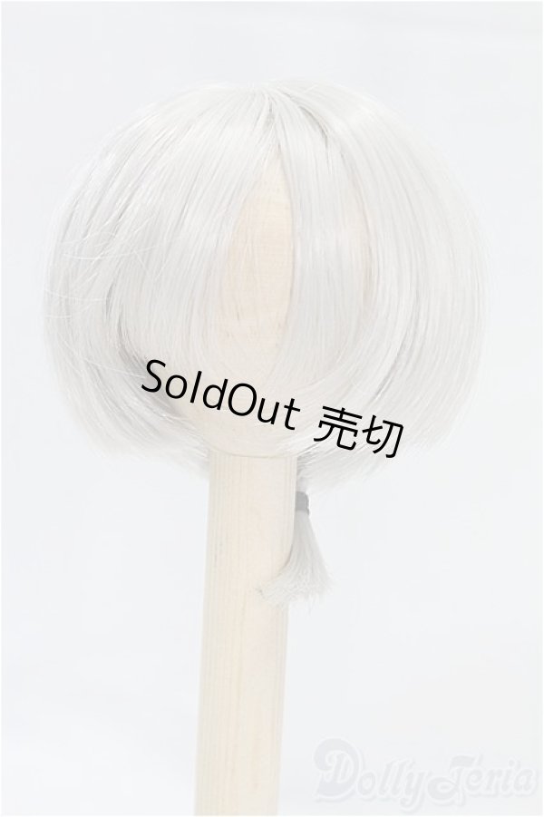 画像1: 6-6.5inch/ウィッグ I-25-11-09-070-KD-ZI (1)