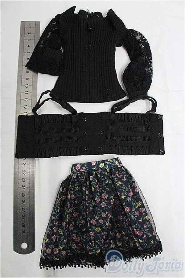 画像2: MDD/OF:衣装セット I-25-11-09-091-KD-ZI (2)