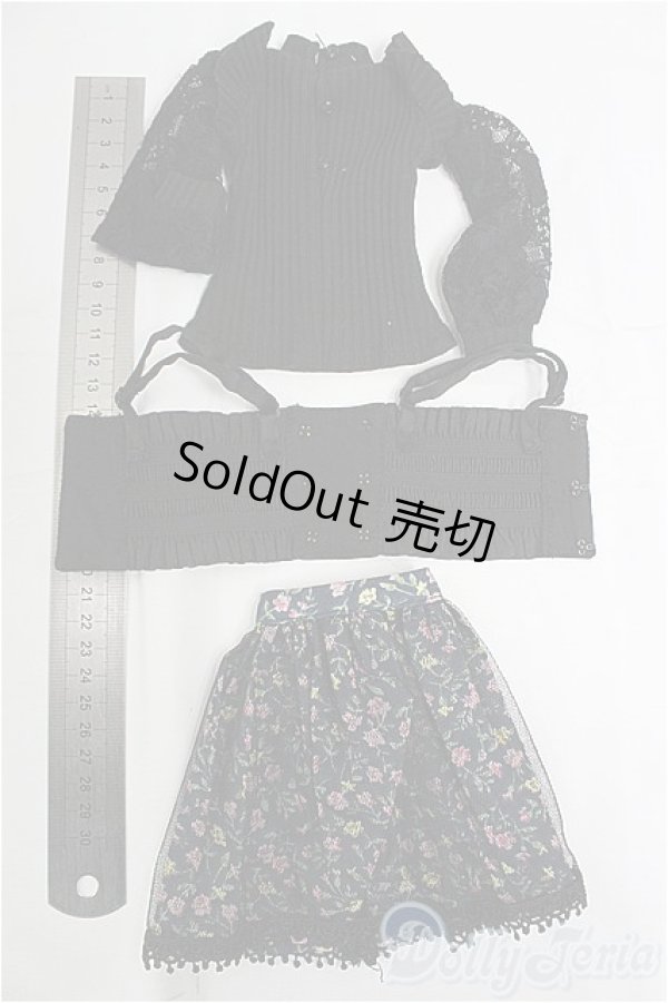 画像2: MDD/OF:衣装セット I-25-11-09-091-KD-ZI (2)