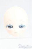画像1: TinyFox/シームーン アウレリア 1/6/BJD　球体関節人形 I-25-11-02-357-KD-ZI (1)