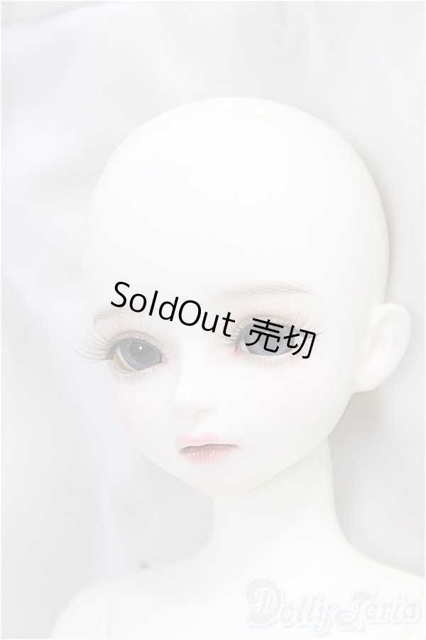 画像9: MyouDoll/1/4/Zuzana/BJD　球体関節人形 I-25-11-09-303-KD-ZI (9)