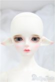 画像6: LUTS Kid45 Delf RASPBERRY Elf ver./BJD　球体関節人形 I-25-11-09-305-KD-ZI (6)