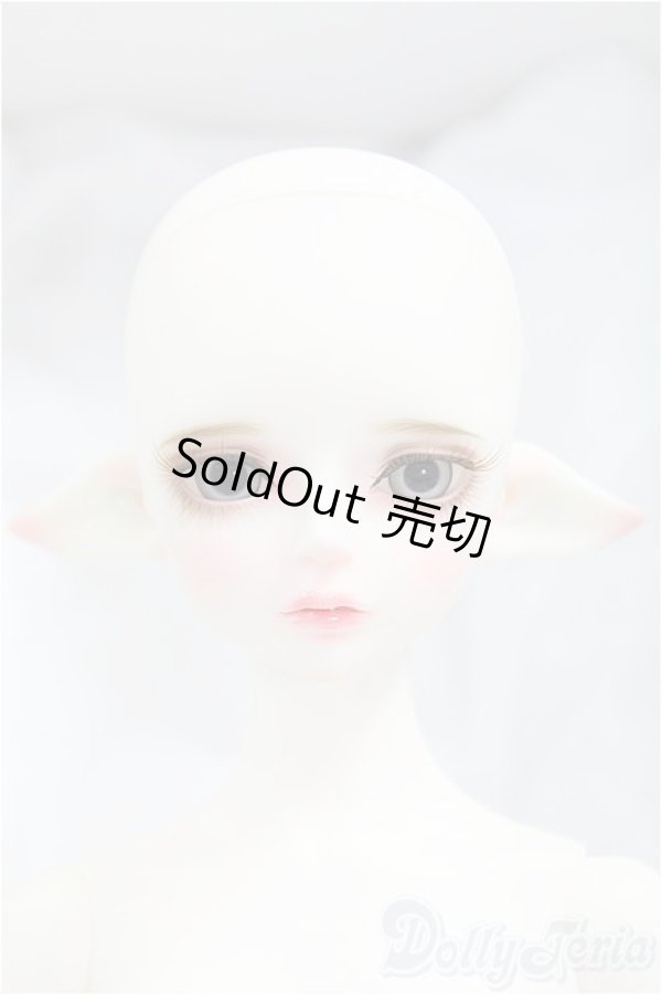 画像6: LUTS Kid45 Delf RASPBERRY Elf ver./BJD　球体関節人形 I-25-11-09-305-KD-ZI (6)