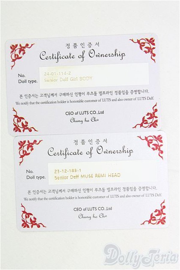 画像10: LUTS/REMIヘッド+Girl body/BJD　球体関節人形 I-25-11-09-307-KD-ZI (10)