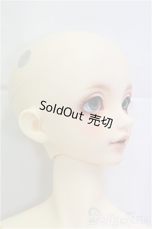 画像2: SDGrBOY/フルチョイス：F-85/BJD　球体関節人形 I-25-11-09-257-KD-ZI (2)