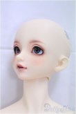 画像3: SDGrBOY/フルチョイス：F-85/BJD　球体関節人形 I-25-11-09-257-KD-ZI (3)