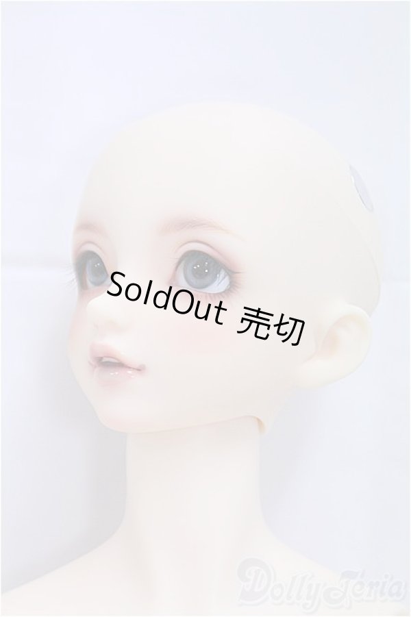 画像3: SDGrBOY/フルチョイス：F-85/BJD　球体関節人形 I-25-11-09-257-KD-ZI (3)