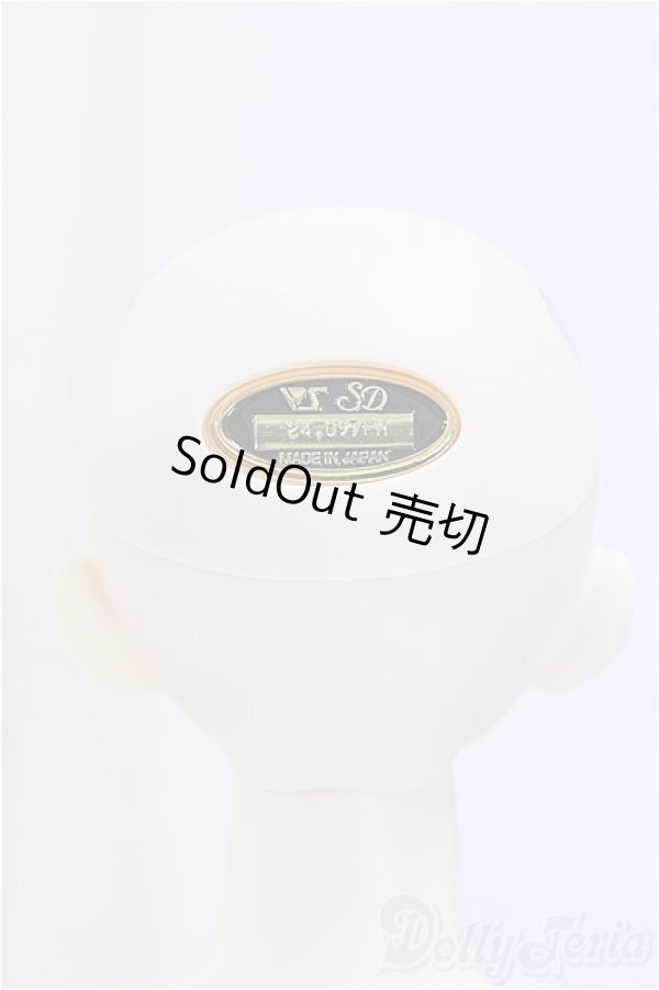 画像4: SDGrBOY/フルチョイス：F-85/BJD　球体関節人形 I-25-11-09-257-KD-ZI (4)