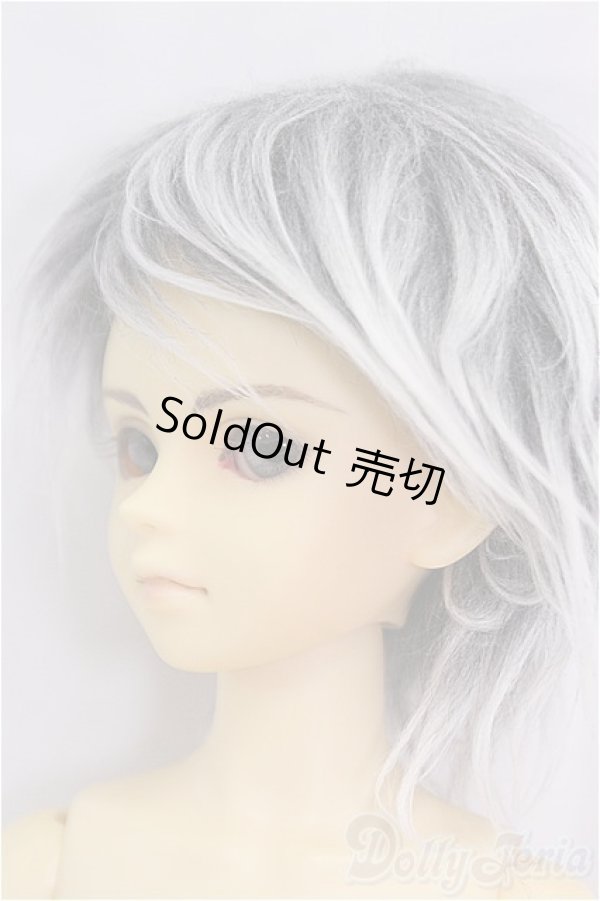 画像3: MSD男の子/フルチョイス:F-09/BJD　球体関節人形 I-25-11-09-259-KD-ZI (3)