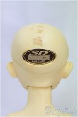 画像4: MSD男の子/フルチョイス:F-09/BJD　球体関節人形 I-25-11-09-259-KD-ZI (4)