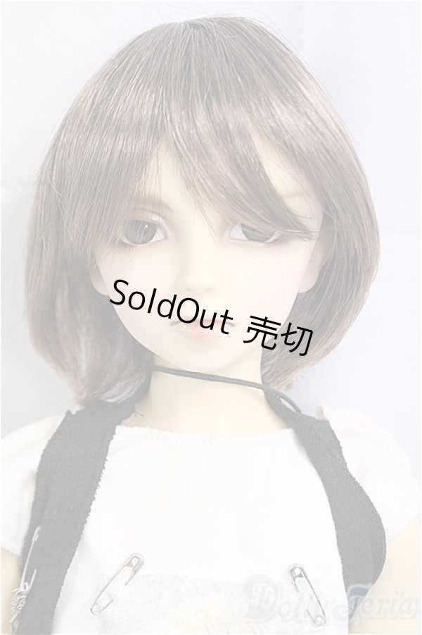 画像1: SD13男の子/ワンオフセシルmayura様 I-25-11-09-392-KD-ZI (1)