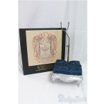 画像: 1/4ドールスタンド　Aphasia Land　 I-25-11-16-109-KD-ZI