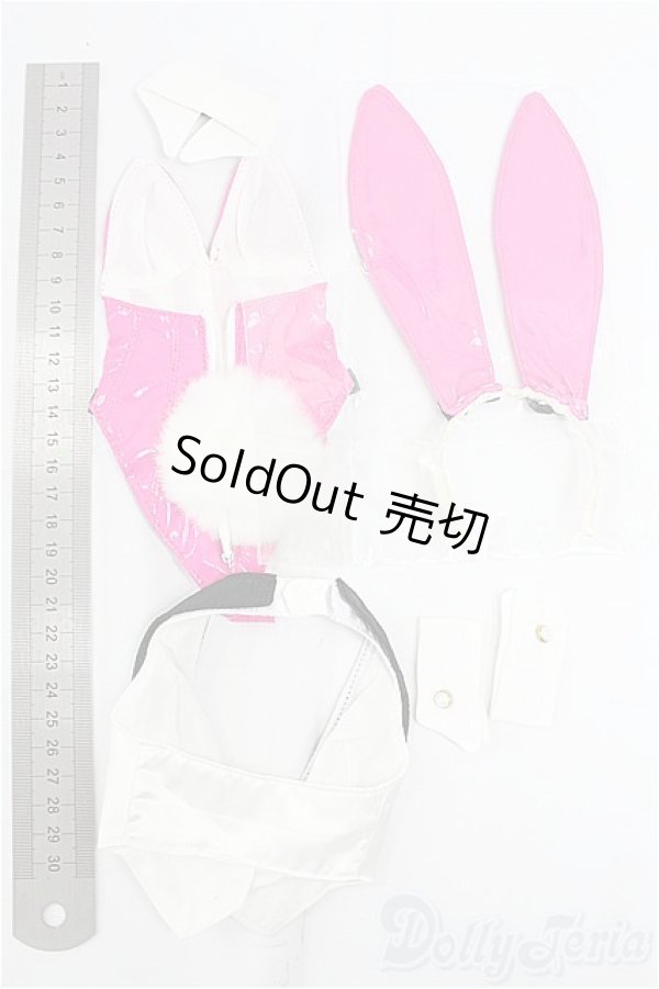 画像2: DD/OF:バニーガールセット/0 I-25-11-16-034-KD-ZI (2)