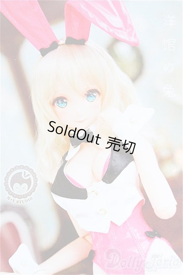 画像3: DD/OF:バニーガールセット/0 I-25-11-16-034-KD-ZI (3)