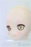 画像3: DC-H-17/カスタムメイクヘッド/BJD　球体関節人形 I-25-11-16-210-KD-ZI (3)
