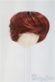 画像1: ウィッグ/4inch:DOLLCE製/インチ　BJD　MJD　ドール用 I-25-11-16-082-KD-ZI (1)