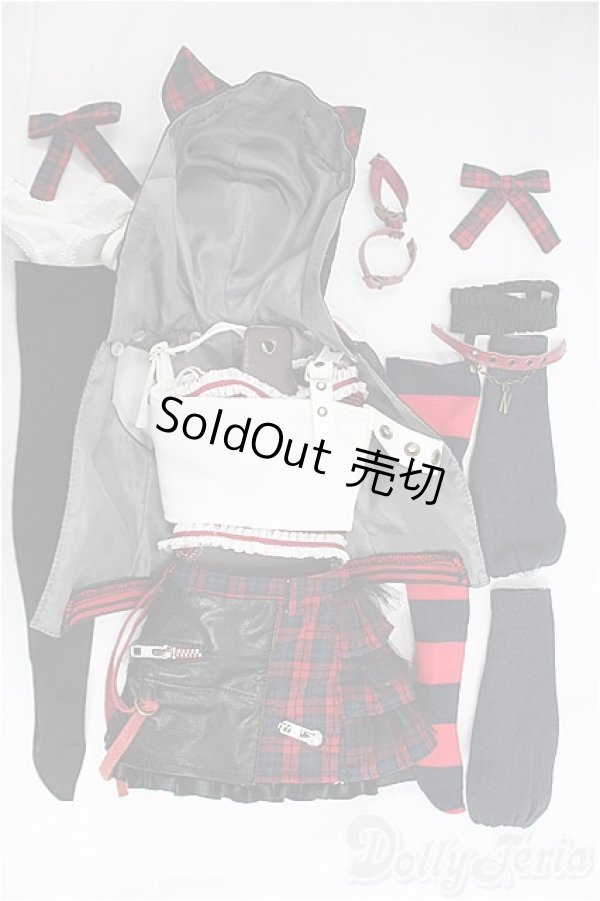 画像7: DD/ナツキ 20th Anniversary Ver. I-25-11-16-104-KD-ZI (7)