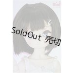 画像: MDD /こうめ　スタンダードモデル I-25-11-16-102-KD-ZI