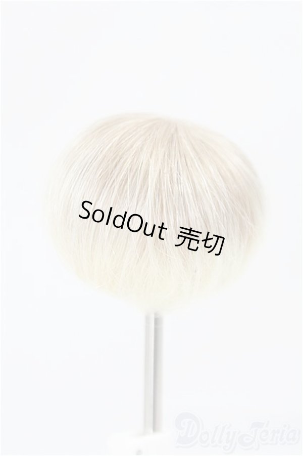 画像2: 5inch/ウィッグ　DOLLCE/インチ　BJD　MJD　ドール用 I-25-11-16-200-KD-ZI (2)