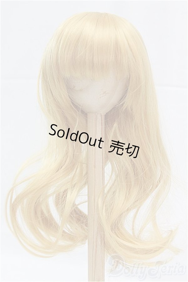 画像1: 8.5-9inch/ウィッグ/インチ　BJD　MJD　ドール用 I-25-11-23-016-KD-ZI (1)
