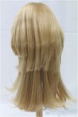 画像2: 8-9inch/ウィッグ/インチ　BJD　MJD　ドール用 I-25-11-23-015-KD-ZI (2)