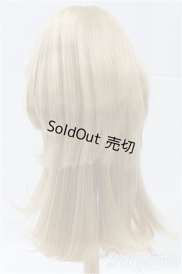 画像2: 8-9inch/ウィッグ/インチ　BJD　MJD　ドール用 I-25-11-23-015-KD-ZI (2)