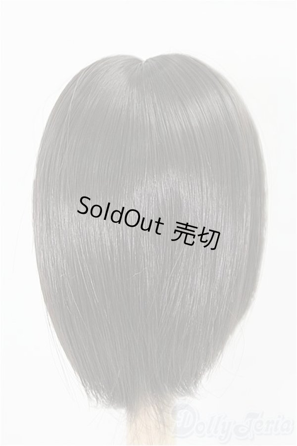 画像2: 6-7inch/ウィッグ/インチ　BJD　MJD　ドール用 I-25-11-23-110-KD-ZI (2)