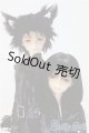画像: SD13男の子/黒猫ルカ/BJD　球体関節人形 I-25-11-23-130-KD-ZI