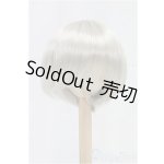 画像: 9-10inch/ウィッグ/インチ　BJD　MJD　ドール用 I-25-11-23-187-KD-ZI