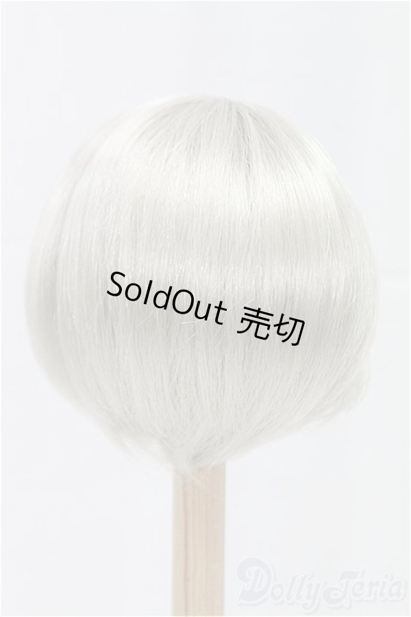 画像2: 9-10inch/ウィッグ/インチ　BJD　MJD　ドール用 I-25-11-23-187-KD-ZI (2)