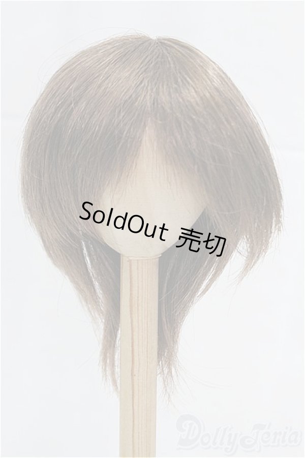 画像1: 8-9inch/ウィッグ/インチ　BJD　MJD　ドール用 I-25-11-23-188-KD-ZI (1)