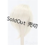 画像: 8-9inch/ウィッグ/インチ　BJD　MJD　ドール用 I-25-11-23-190-KD-ZI